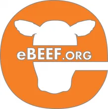 eBEEF.org Logo