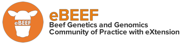 eBeef - Beef Genetics and Genomics Community of Practice with eXtension