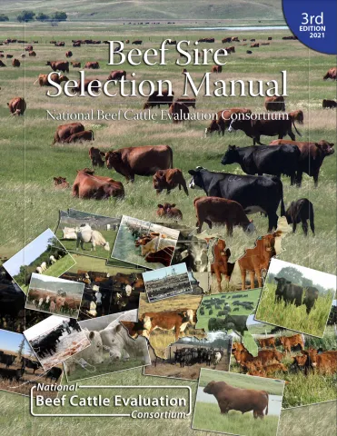 Beef Sire Manual.